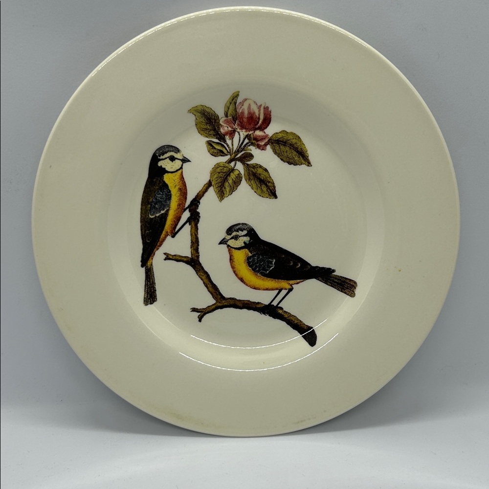 Vintage Royal Stafford Bird Plate, Decor Gift 1980’s